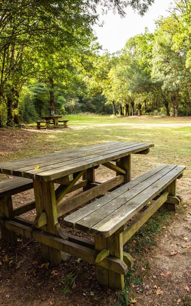 Aire de pique-nique Sauvaget à Pissotte - Forêt de Mervent - Fontenay-Vendée