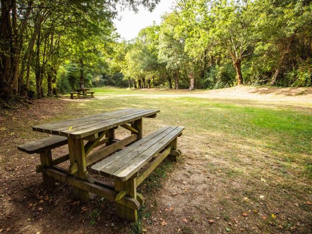 Aire de pique-nique Sauvaget à Pissotte - Forêt de Mervent - Fontenay-Vendée