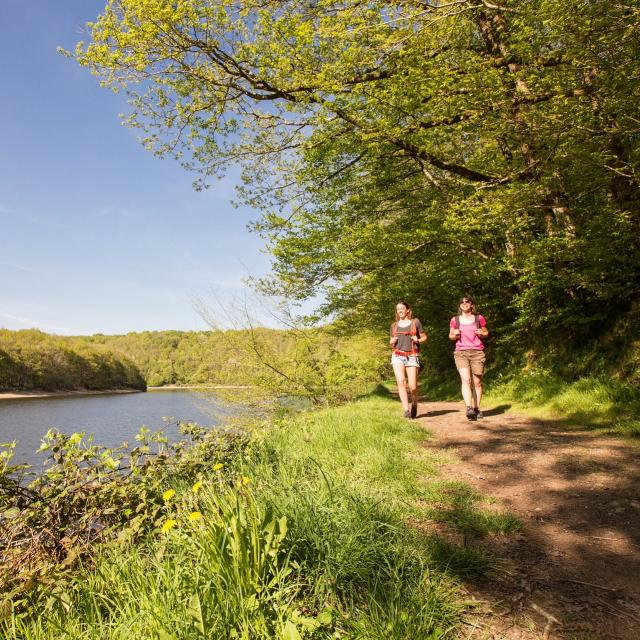 Randonnée pédestre au bord du lac de la forêt de Mervent - Fontenay-Vendée