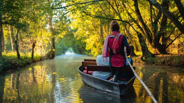 Balade en barque dans le Marais poitevin