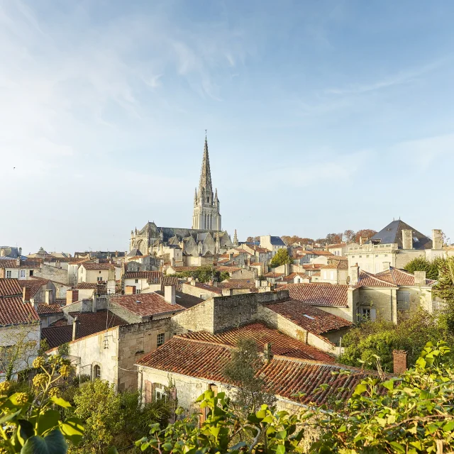 Fontenay Le Comte Ville Renaissance 85200 1