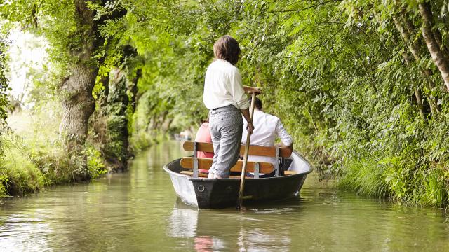 Balade en barque dans le Marais poitevin