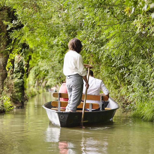 Balade en barque dans le Marais poitevin