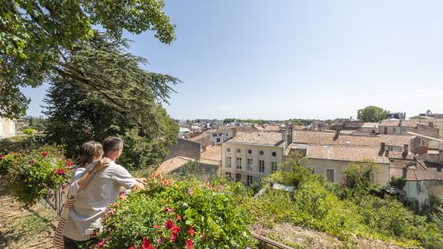 Vue panoramique Parc Baron - Fontenay-le-Comte - Fontenay-Vendée - 85