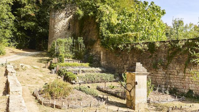 Parc Baron Fontenay-le-Comte - Jardin médiéval