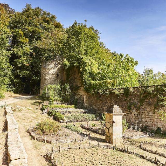 Parc Baron Fontenay-le-Comte - Jardin médiéval