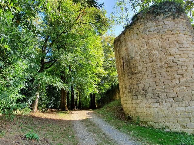 Parc Baron Fontenay-le-Comte - intérieur du parc et remparts