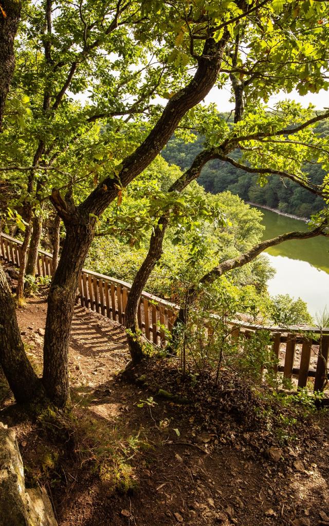 Rocher de Pierre Blanche - Forêt de Mervent - Fontenay-Vendée - 85