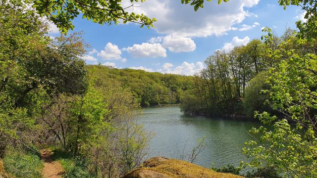 Lac de Mervent - Forêt de Mervent-Vouvant - Fontenay-Vendée - 85