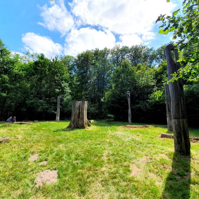 Mervent forêt Chêne des 5 Jumeaux