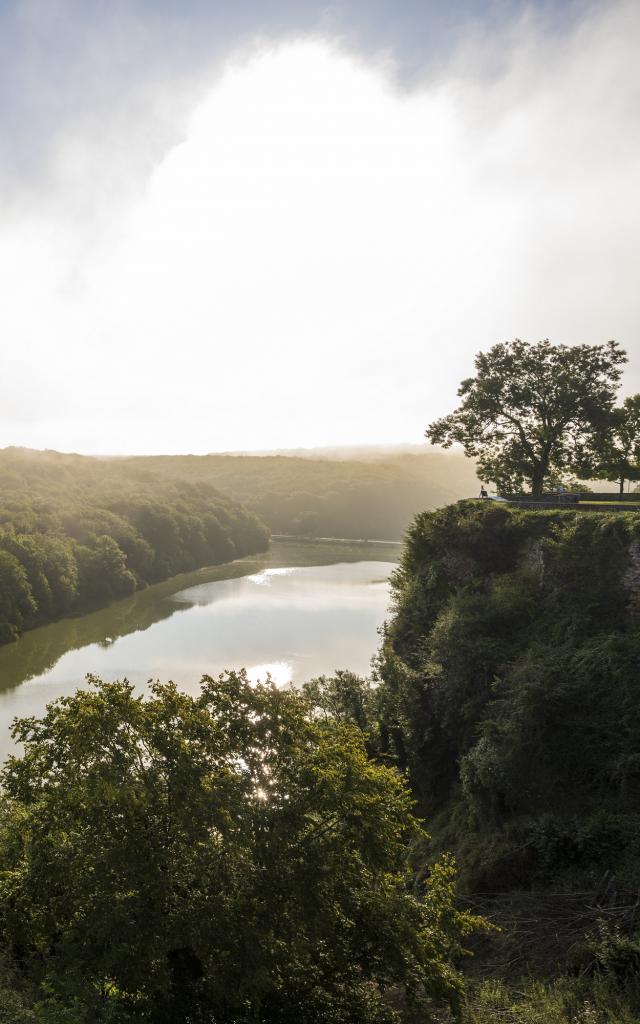 Vue sur la forêt et le lac de Mervent - Fontenay-Vendée - 85