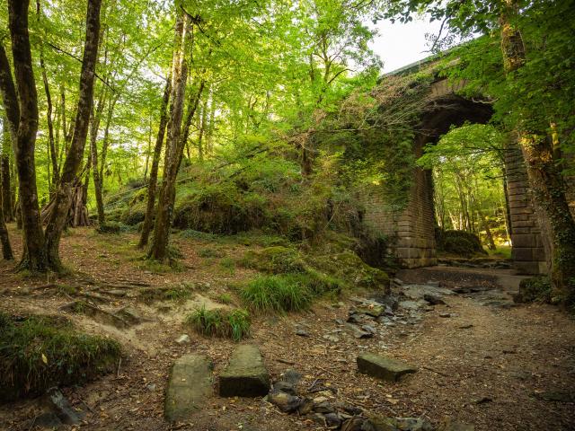 Forêt de Mervent-Vouvant pont du Déluge