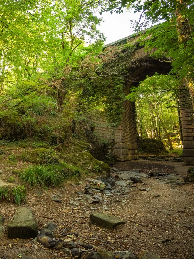 Forêt de Mervent-Vouvant pont du Déluge