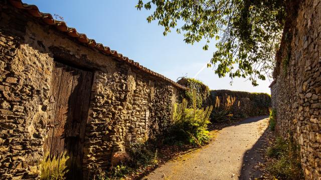 Vouvant Ruelles Cité Médiévale Fontenay Vendée 85 2