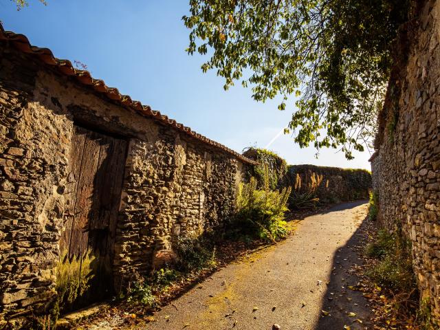 Vouvant Ruelles Cité Médiévale Fontenay Vendée 85 2