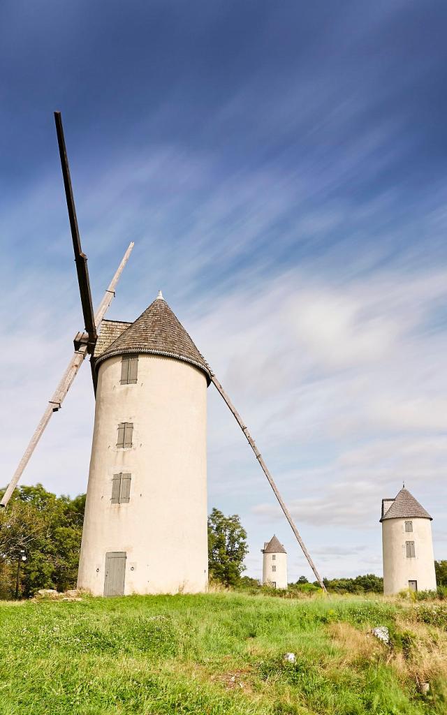 Colline-des-Moulins-Bocage-Vendee-1.jpg