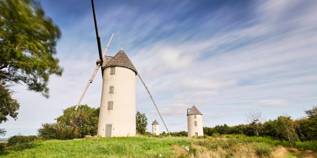 Colline-des-Moulins-Bocage-Vendee-1.jpg