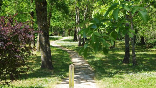 Parc-du-Vignaud-Nieul-sur-lAutise-85-1.jpg