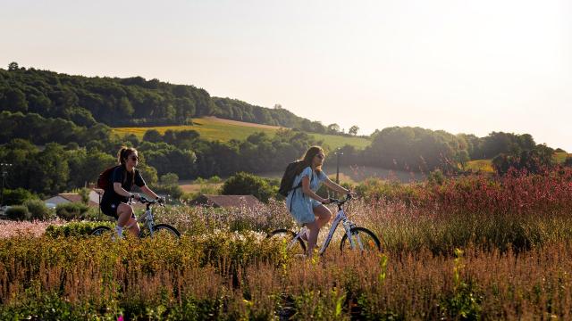 Balade à Vélo en Vendée bocage, forêt et Marais poitevin