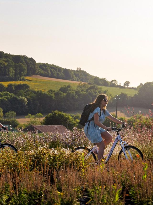 Balade à Vélo en Vendée bocage, forêt et Marais poitevin