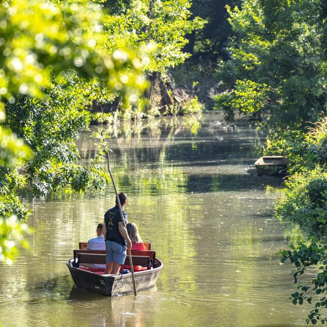 Balade en barque dans la Venise verte, Marais poitevin