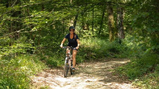 VTT dans la forêt de Mervent Vouvant