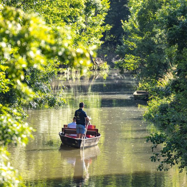 Visite du Marais poitevin en barque avec batelier en pleine Venise Verte