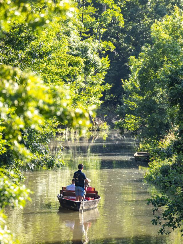 Visite du Marais poitevin en barque avec batelier en pleine Venise Verte