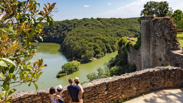 Découverte de la forêt de Mervent-Vouvant en Vendée