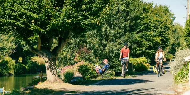 balade à vélo dans le marais poitevin, bocage en vendée