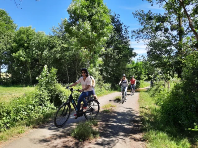 Location De Velo Culture Et Campagne