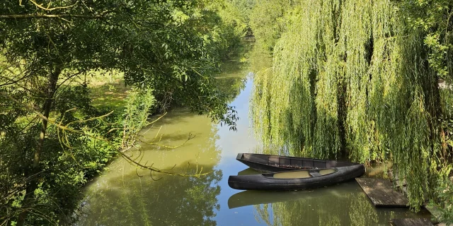 Canoe Marais Poitevin En Vendee