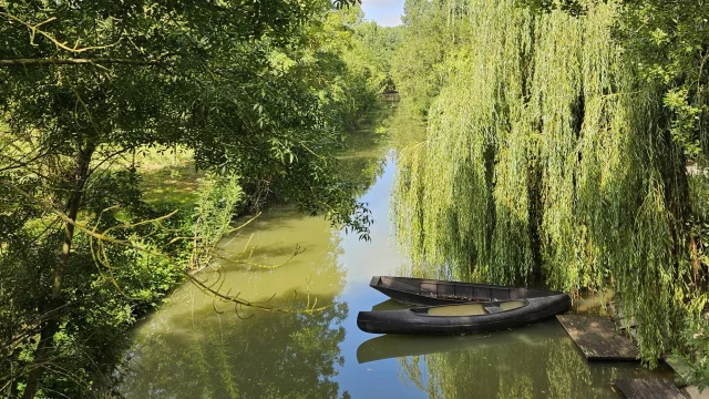 Canoe Marais Poitevin En Vendee