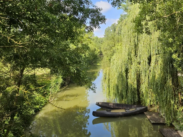 Canoe Marais Poitevin En Vendee