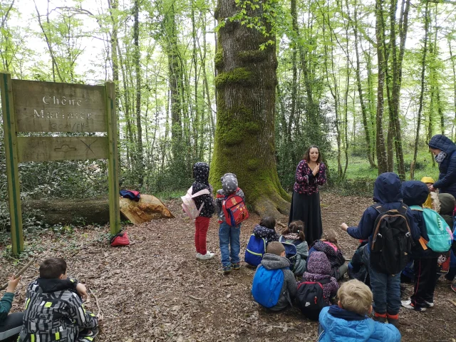 Contes en forêt La Fabrique des échos